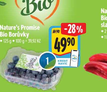 Nature's Promise Bio Borůvky 125 g 