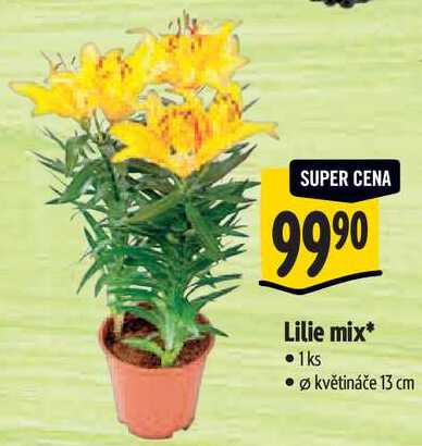 Lilie mix