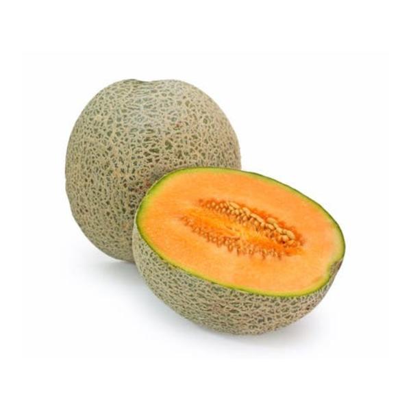 Meloun Cantaloupe