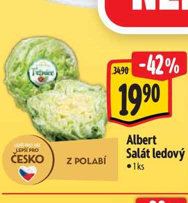 Albert Salát ledový 1ks 