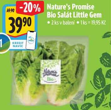 Nature's Promise Bio Salát Little Gem, 2 ks  