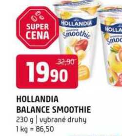 Hollandia balance smoothie 230g