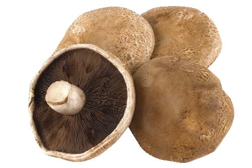 Portobello, 220 g
