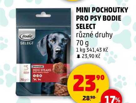 MINI POCHOUTKY PRO PSY BODIE SELECT různé druhy, 70 g  