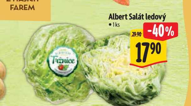  Albert Salát ledový 1 ks