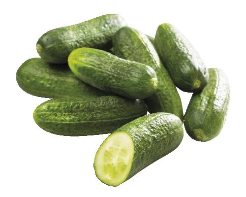 Okurky nakládačky, 1 kg