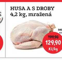 HUSA A S DROBY 4,2 kg, mražená 1kg 