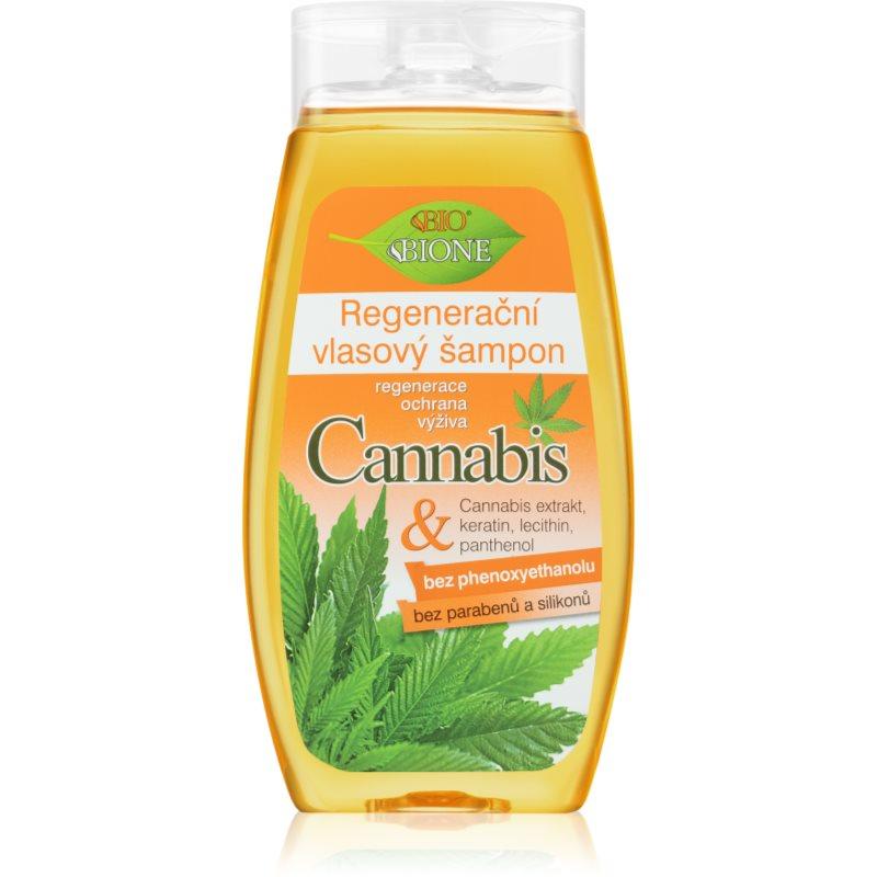 Bione Cosmetics Cannabis regenerační šampon 260 ml