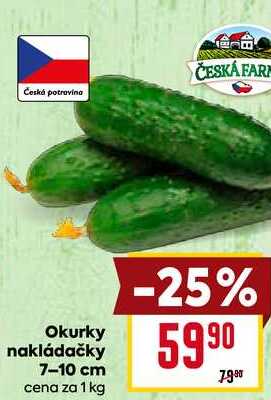 Okurky nakládačky 7-10 cm 