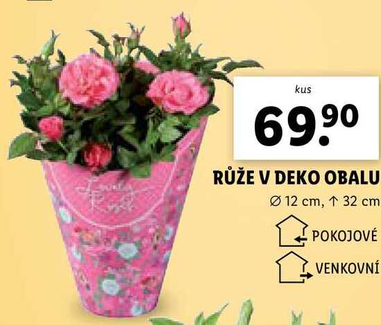 RŮŽE V DEKO OBALU