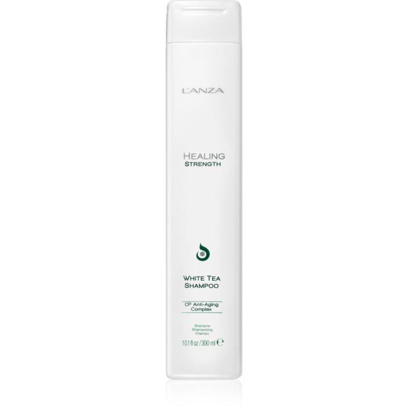 L'anza Healing Strength White Tea Shampoo šampon pro poškozené a křehké vlasy 300 ml