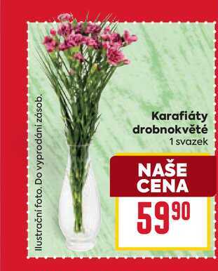 Karafiáty drobnokvěté 1 svazek 