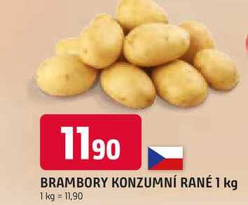 BRAMBORY KONZUMNÍ RANÉ 1 kg 