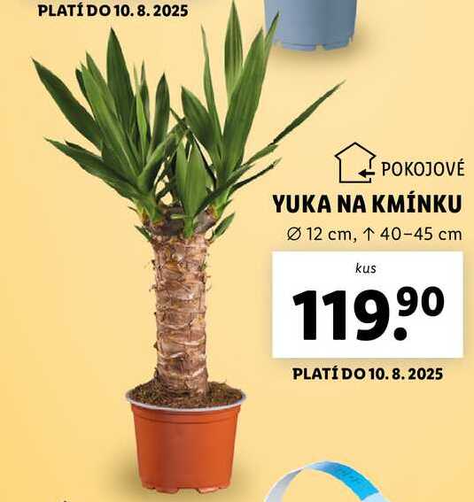 YUKA NA KMÍNKU 1