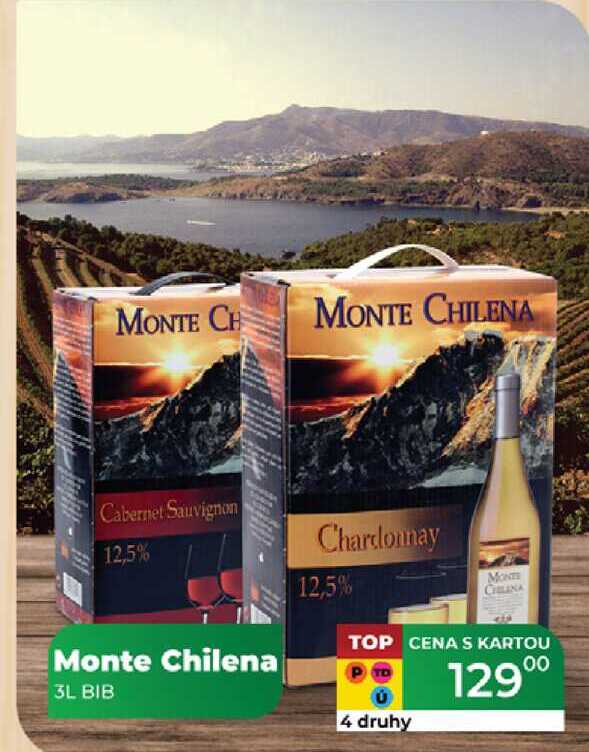 Monte Chilena 3L  