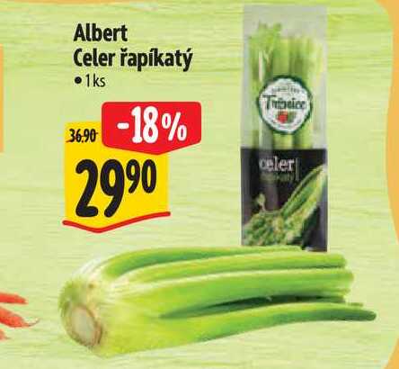 Albert Celer řapíkatý 1ks 