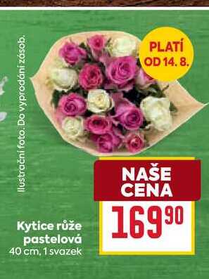 Kytice růže pastelová 40 cm, 1 svazek
