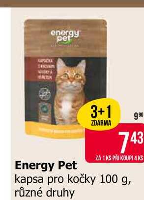 Energy Pet kapsa pro kočky 100 g, různé druhy 