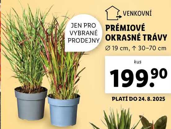 PRÉMIOVÉ OKRASNÉ TRÁVY
