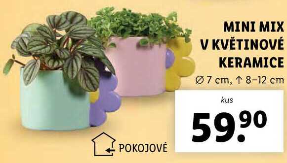 MINI MIX V KVĚTINOVÉ KERAMICE 