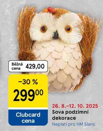 Sova podzimní dekorace