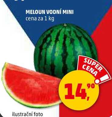 MELOUN VODNÍ MINI, 1 kg