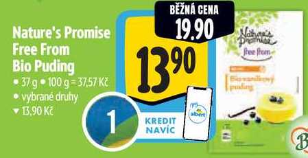 Nature's Promise Free From Bio Puding, 37 g