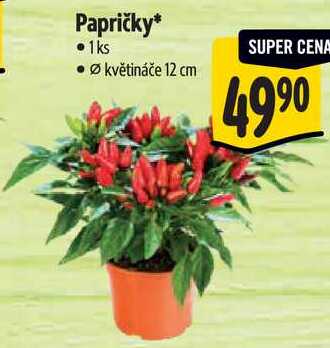 Papričky