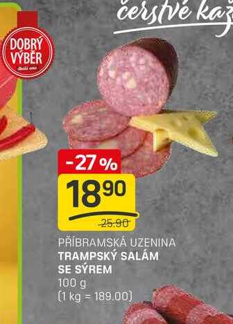 TRAMPSKÝ SALÁM SE SÝREM 100 g  