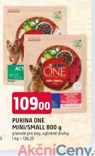PURINA ONE MINI/SMALL 800 g