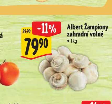  Albert žampiony zahradní volné  1kg 