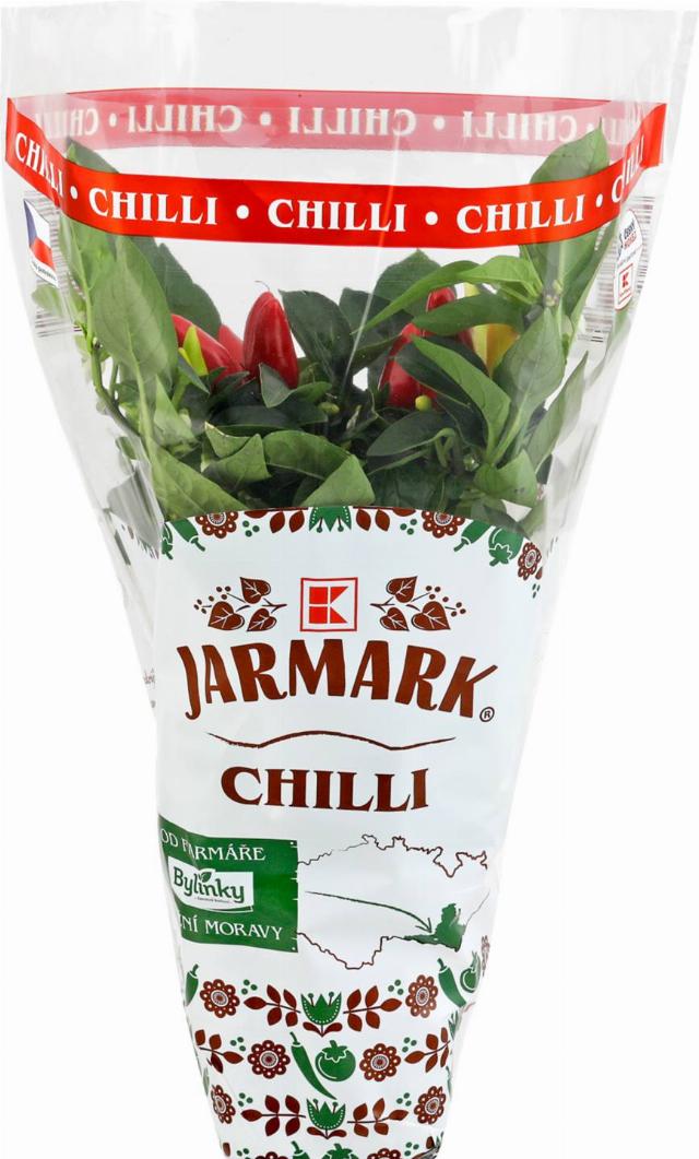 K-Jarmark Chilli v květináči
