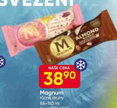 Magnum různé druhy 85-110 ml 