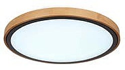 LED stropnice BRUNO