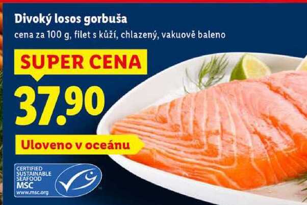 Divoký losos gorbuša, cena za 100 g