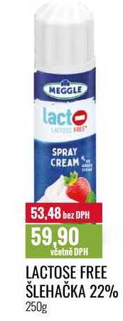 LACTOSE FREE ŠLEHAČKA 22% 250g 