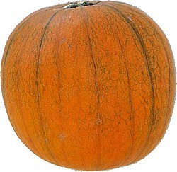 DÝNĚ HALLOWEEN