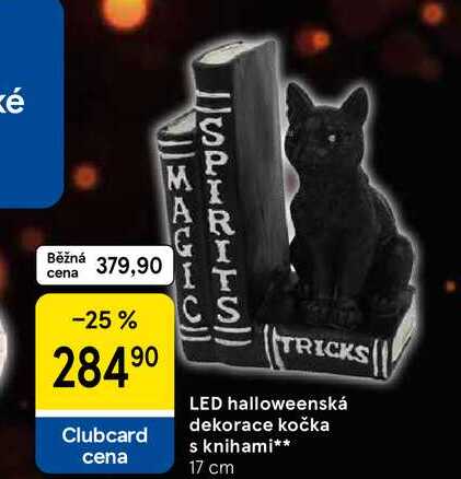 LED halloweenská dekorace kočka s knihami, 17 cm 