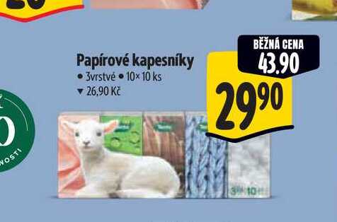   Papírové kapesníky 3vrstvé  10×10 ks 
