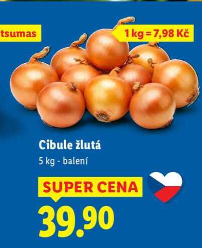 Cibule žlutá, 5 kg
