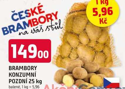 BRAMBORY KONZUMNÍ POZDNÍ 25 kg balené