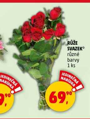 RŮŽE SVAZEK, 1 ks 