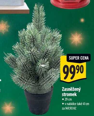 Zasněžený stromek