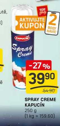 SPRAY CREME KAPUCÍN 250 g