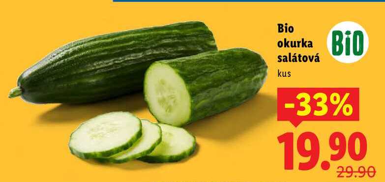 Bio okurka salátová, 1 ks