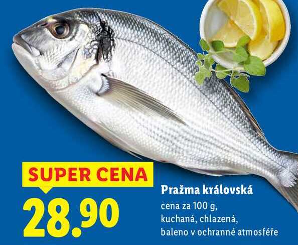 Pražma královská, cena za 100 g