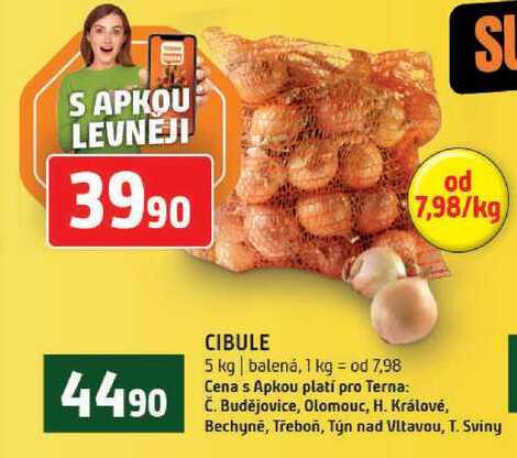 cibule 5kg