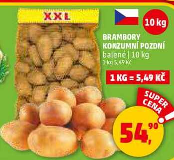 BRAMBORY KONZUMNÍ POZDNÍ, 10 kg 