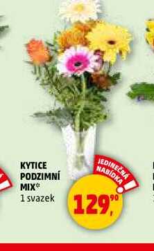 KYTICE PODZIMNÍ MIX, 1 svazek