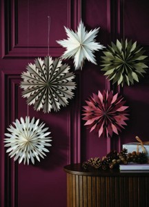 2) Vánoční hvězda SKRYMSLI